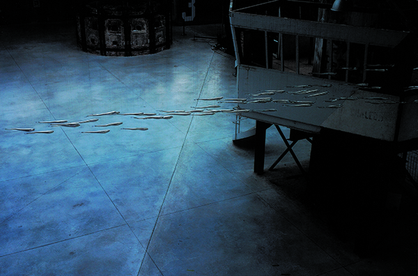 {Banc d'anguilles-miroir,} 2006
