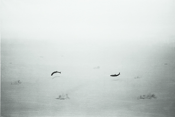 {Deux poissons et leurs ombres,} 1999