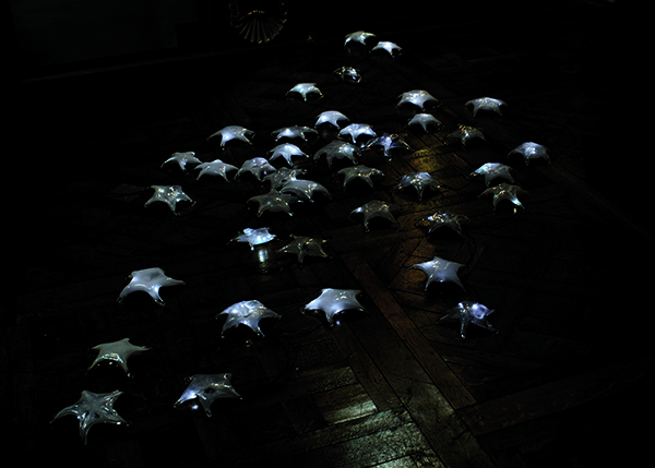 {Etoiles de mer opalines,} 2006