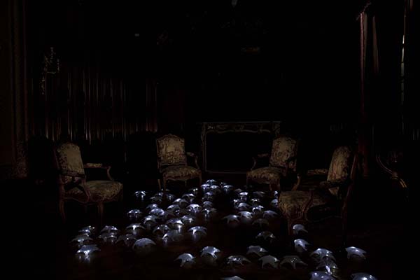 {Etoiles de mer opalines,} 2006