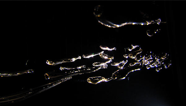 {Les poissons des grandes profondeurs ont pied,} 2007-2008