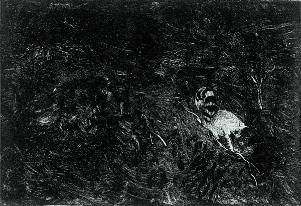 {Lémurien,} 2004