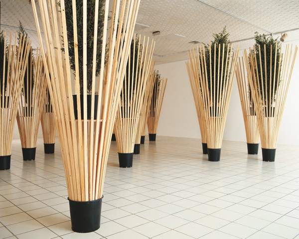 {13 genévriers,} 1986