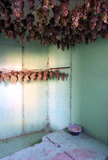 {Sans titre,} 1993