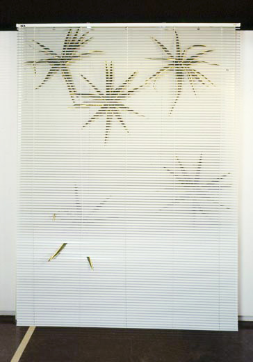 {5 agaves 96,} 2001