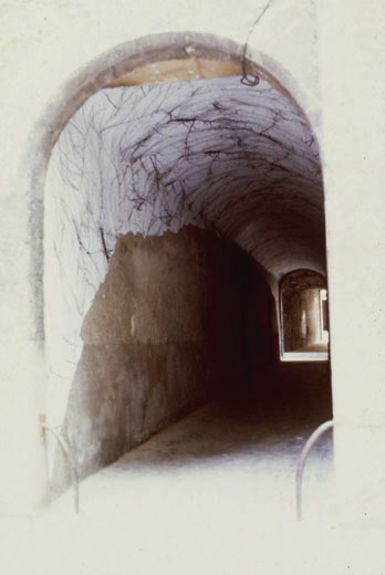 {Sans titre,} 1982