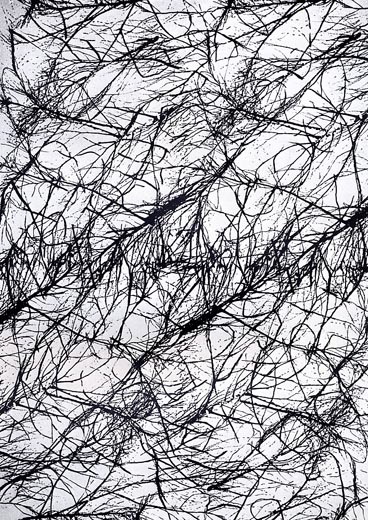 {Dessin 82,} 1983