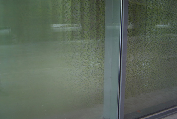 {Vermiculé,} 2009