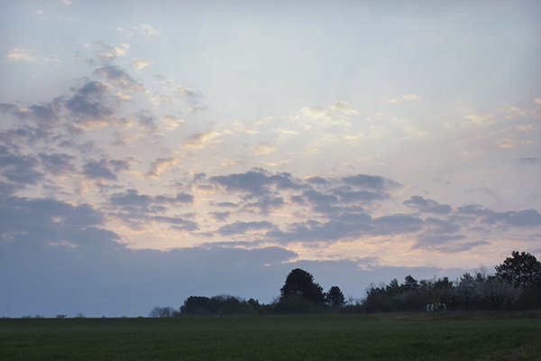 {Eyjafjöll's time}, 2010