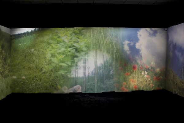 Vue de l'installation