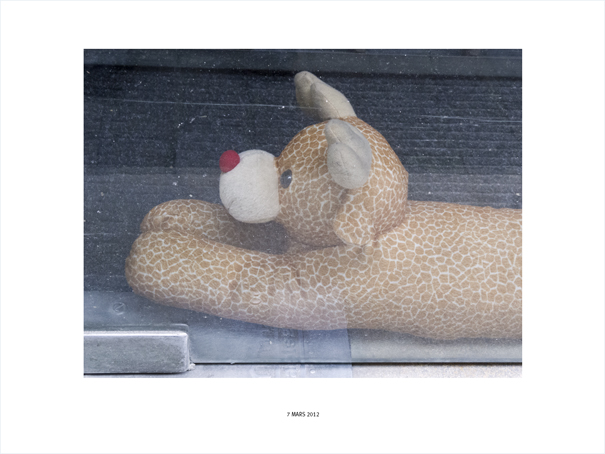 {Animal, Bordeaux, 7 mars 2012}