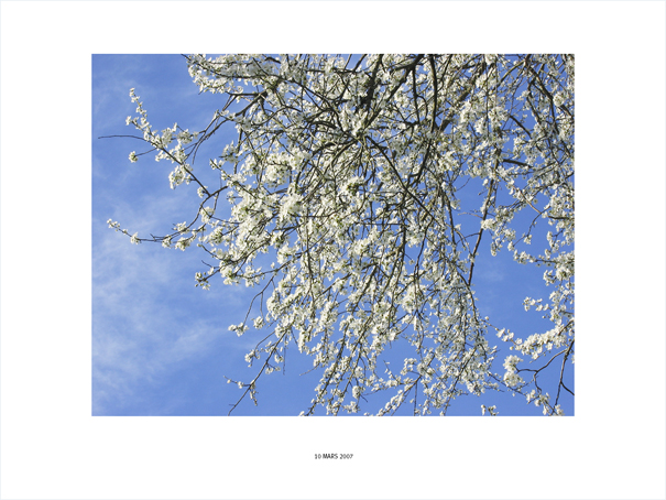 {Prunier, Belsis, 10 mars 2007}