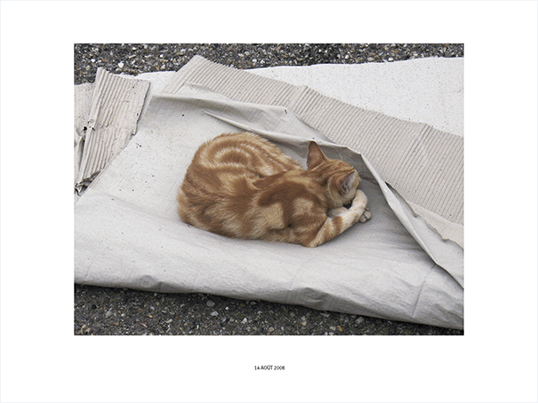 {Chat #2, Bordeaux, 14 août 2008}