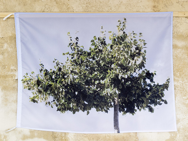 {Drapeaux (Tilleul, Bordeaux, 1er juillet 2011)}, 2013