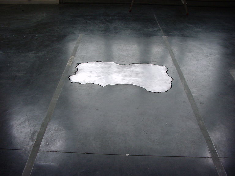 {Flaque d'eau}, 2005