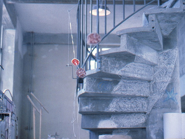 {La machine à faire voler des rondelles de saucissons}, 1989