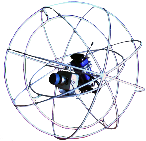 {ERM, RotoRover}, 2006