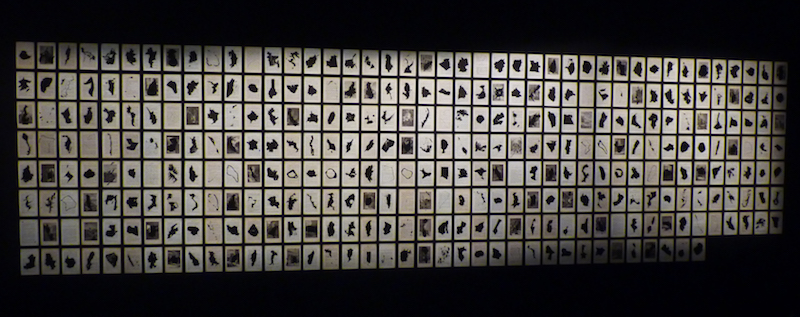 {Les Possessions,} 2013