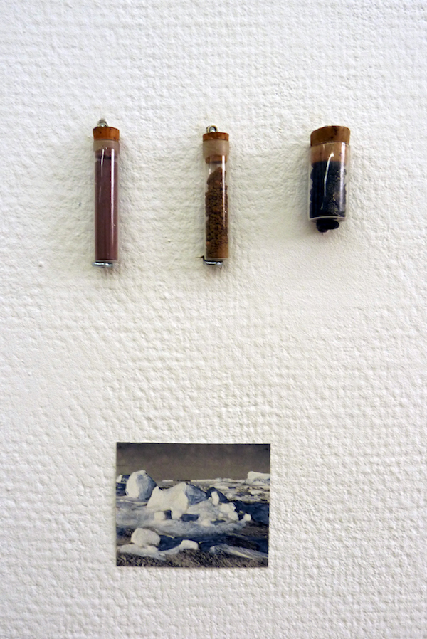 {Compositions naturalistes}, 2016 (détail)