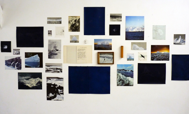 {Compositions naturalistes,} 2017