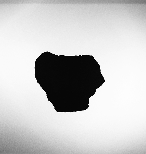 {Calcaire, Abri du Cap-blanc,} 2011