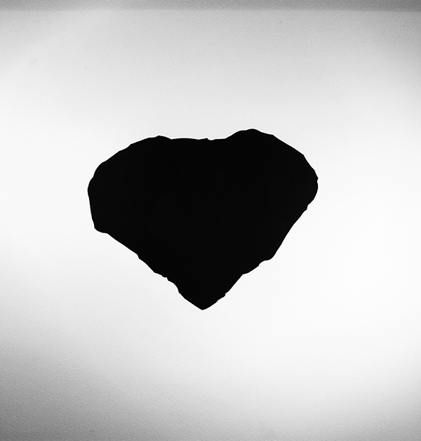 {Calcaire, Abri du Cap-blanc,} 2011