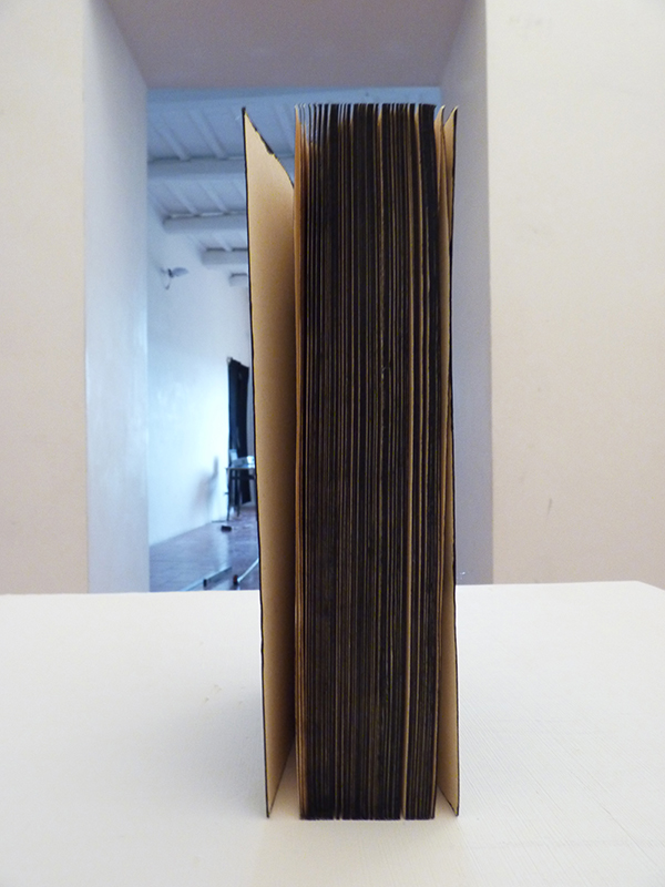 {République}, 2011 (tranche)