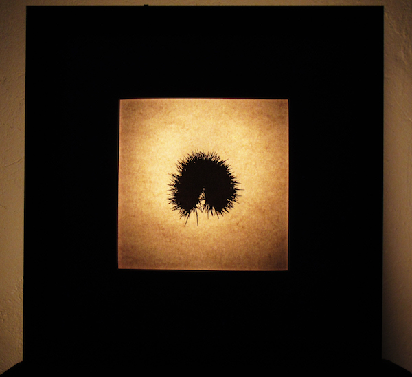 {Bogues, Haute-Vienne}, 2009