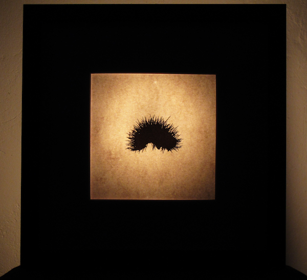 {Bogues, Haute-Vienne}, 2009