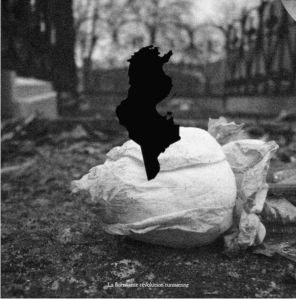 {La florissante révolution tunisienne}, 2011