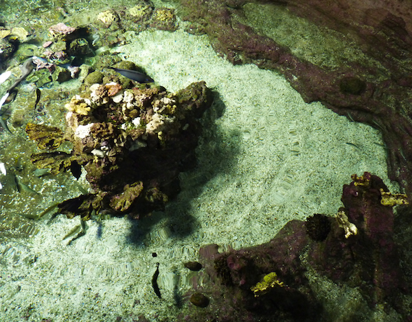 {Surfaces - île artificielle 1}, 2015