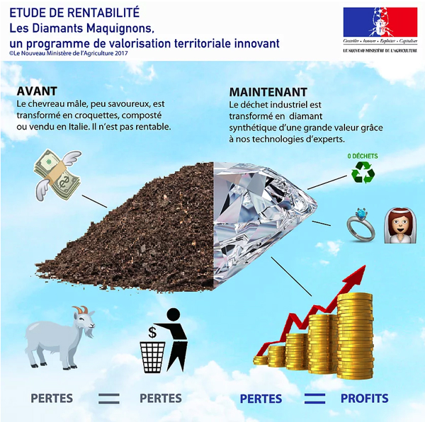 {Les Diamants Maquignons, un produit du terroir innovant}