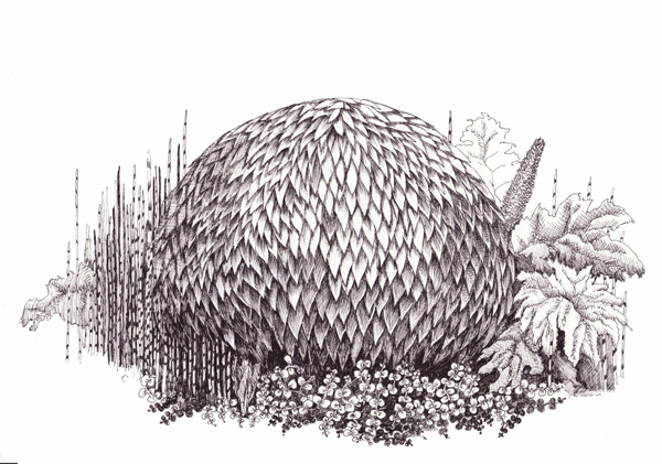 série {Sleeper Cells}, 2010