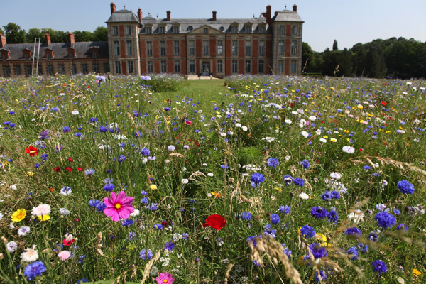 {Jardin à la française sauvage}