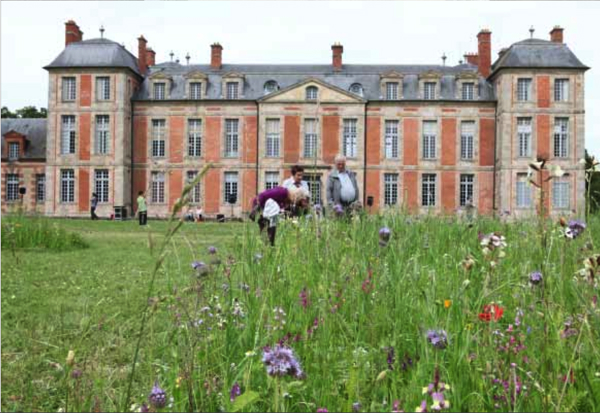 {Jardin à la française sauvage}
