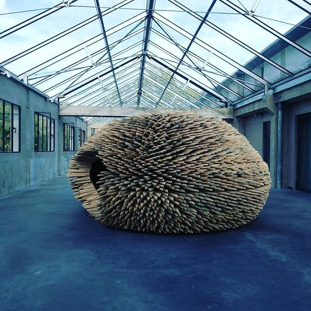 {Cellules dormantes,} 2010-2011