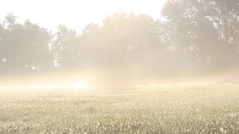 images extraites du film