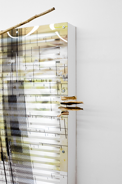 Pierre Clement, {PERS,SC,PLX,OYST,SYS (d),} 2018, (détail)