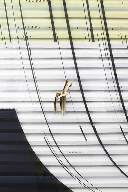 Pierre Clement, {PERS,SC,PLX,OYST,SYS (d),} 2018, (détail)