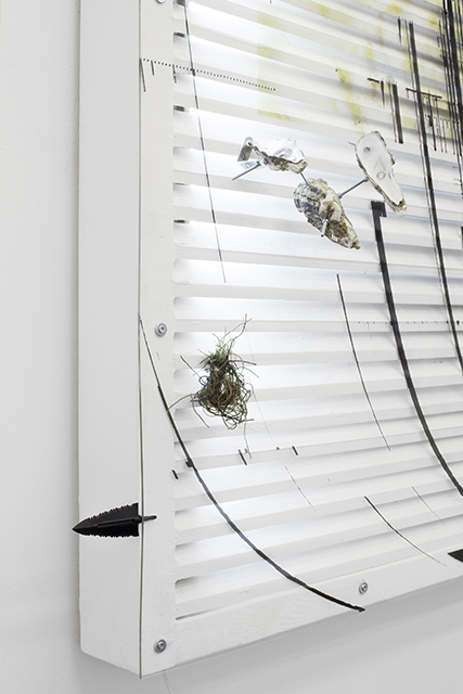 Pierre Clement, {PERS,SC,PLX,OYST,SYS (d),} 2018, (détail)