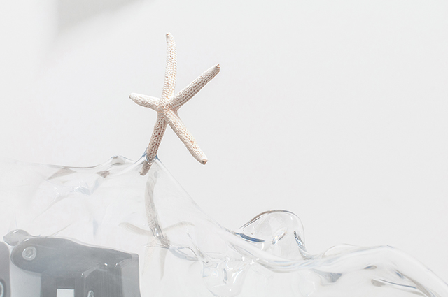 {Jelly,} 2016 (détail)