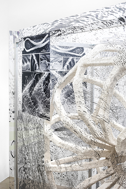 {SOL-enc,neu-DRO-toka:a/surfAce,} 2019 (détail)