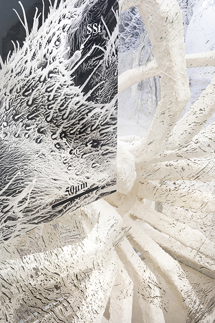 {SOL-enc,neu-DRO-toka:a/surfAce,} 2019 (détail)