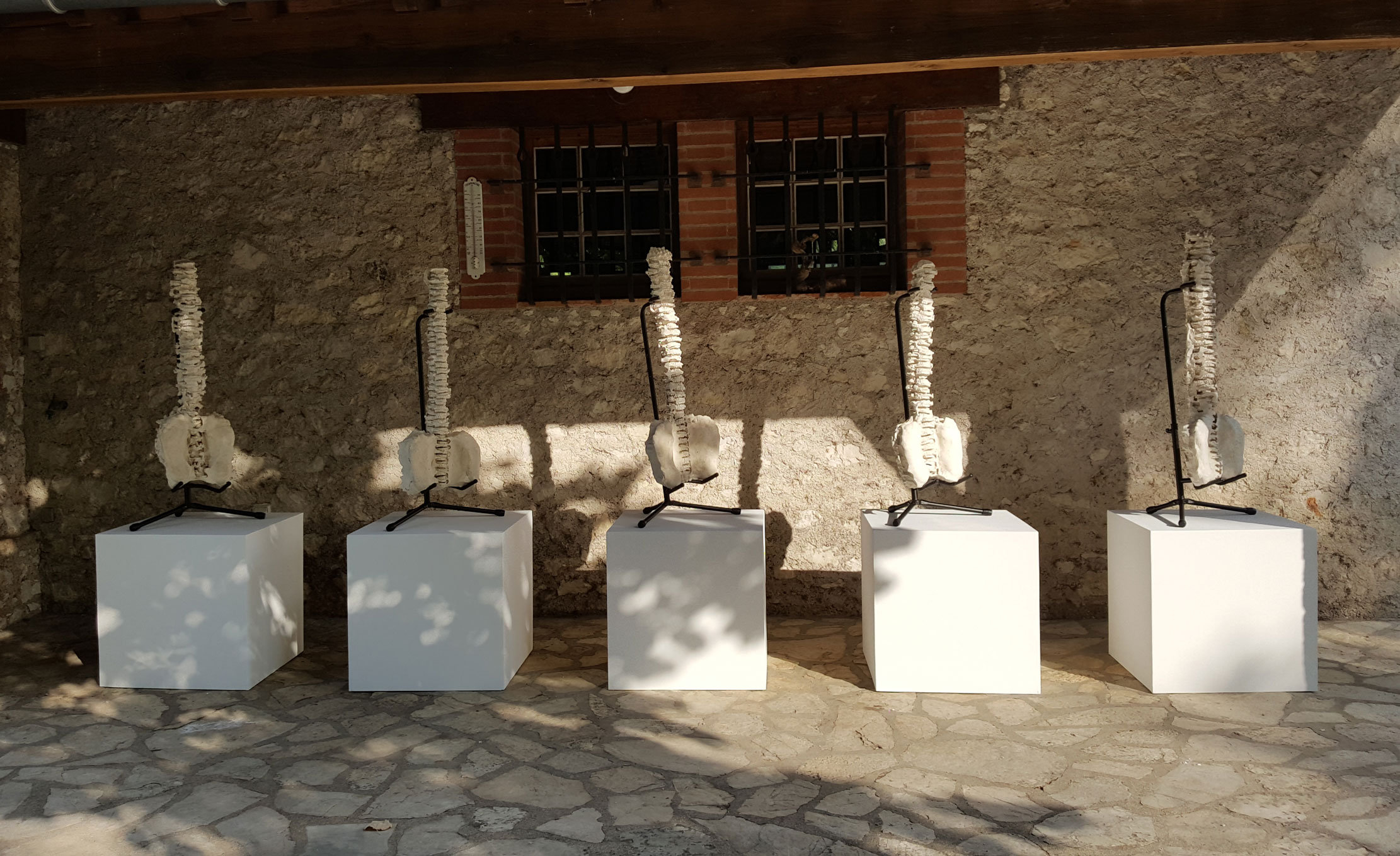 {Cinq épines dorsales,} 2017