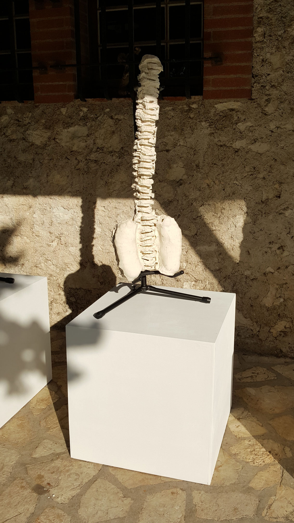 {Épine dorsale,} 2017