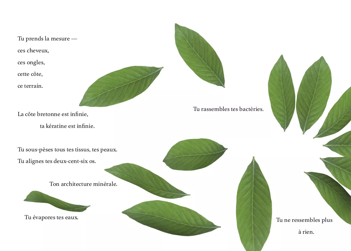 {danceforplants en Ariège}, 2019 (p. 66-67)