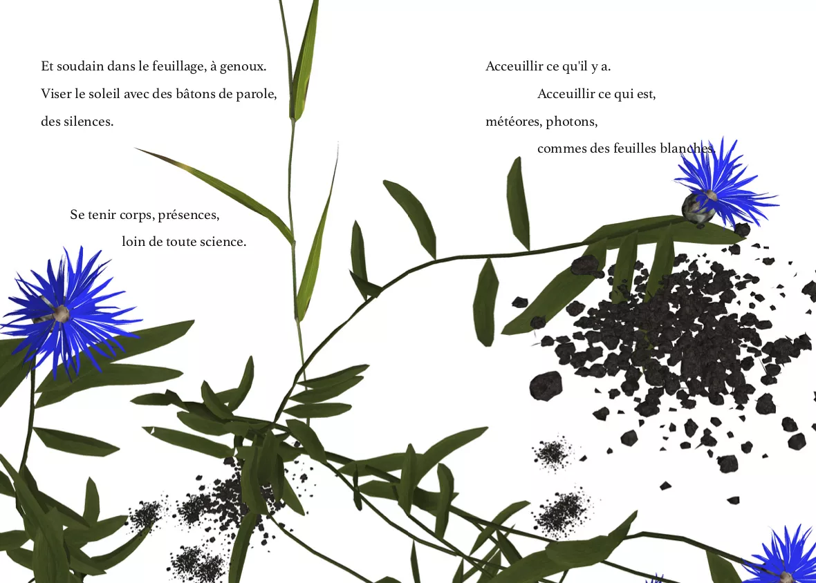 {danceforplants en Ariège}, 2019 (p. 26-27)