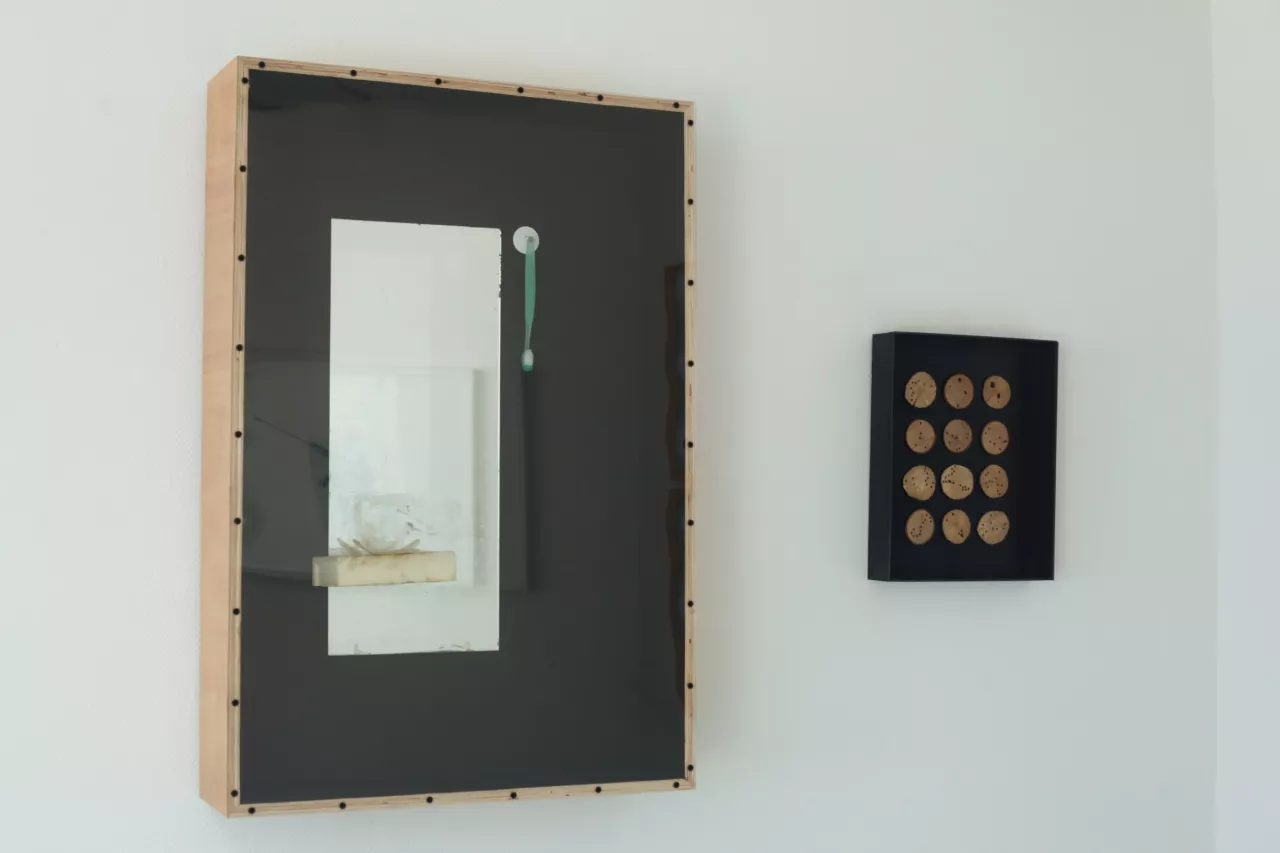  Surf pour la mémoire et pour l'oubli, 2014 Casse bois, miroir, brosse à dent, isolant, savon, 90 x 70 x 20 cm À droite : Constellation du cercle des petits animaux, 2013 Bois, plexiglas, 40 x 30 x 6 cm