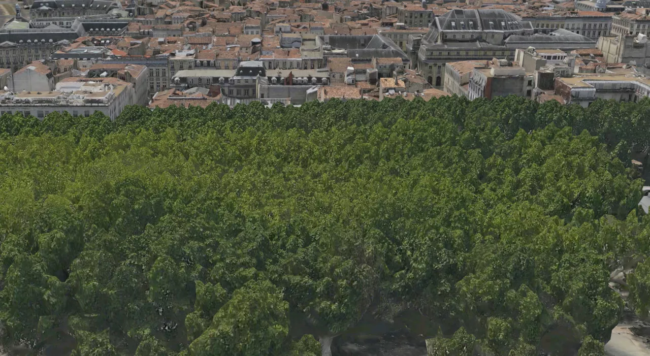 Image extraite de la vidéo