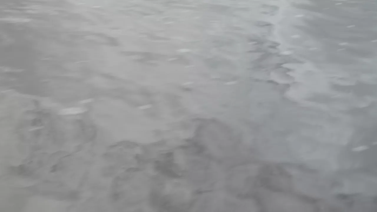 Fleuve 2